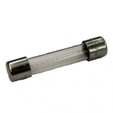 1 Amp 30mm Fast-Acting Fuses (4)